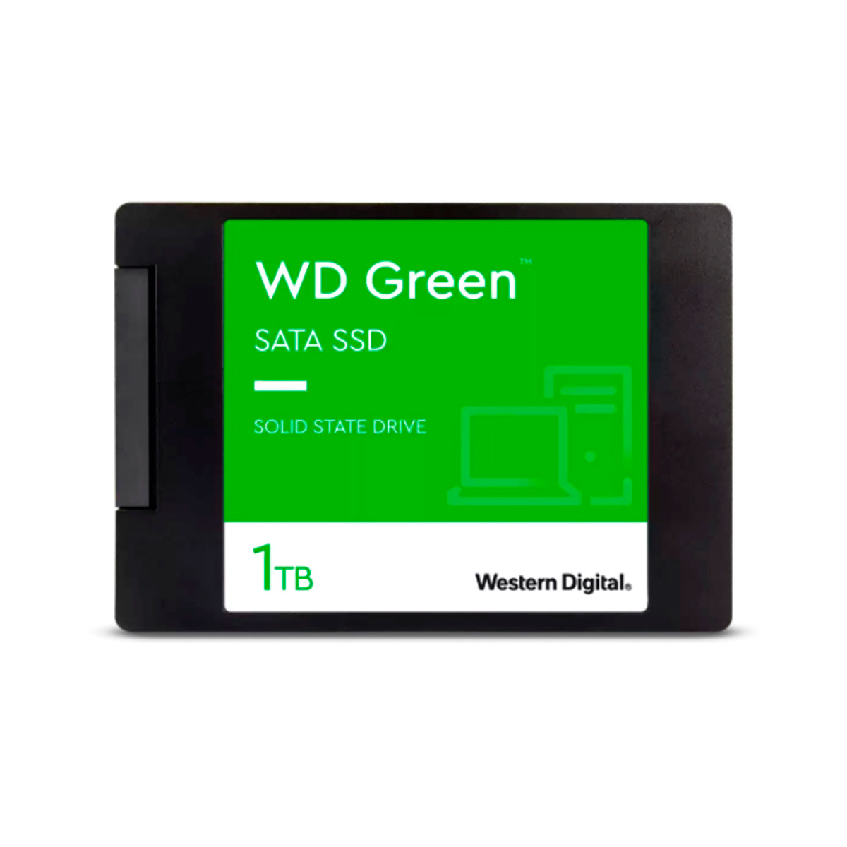 ssdwds100t3g0a.jpg
